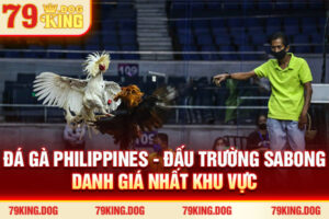 Đá Gà Philippines - Đấu Trường Sabong Danh Giá #1 Khu Vực
