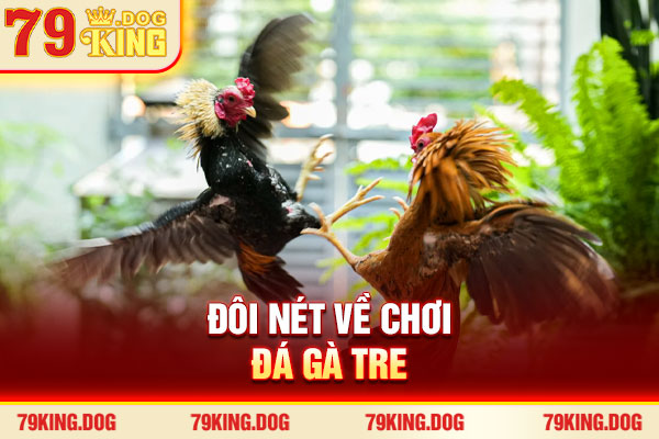 Đôi nét về chơi đá gà tre